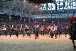 Cavalry - 00272